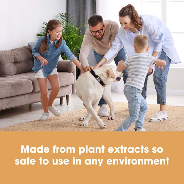 Curățător de covoare și tapițerie