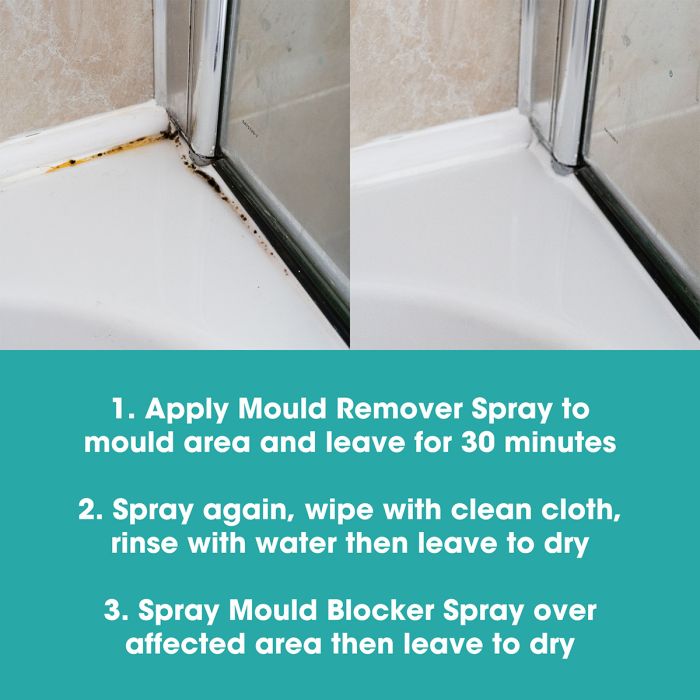 Kit de îndepărtare și prevenire a mucegaiului