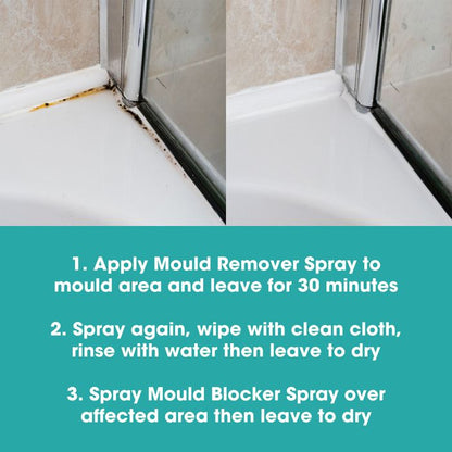 Kit de îndepărtare și prevenire a mucegaiului