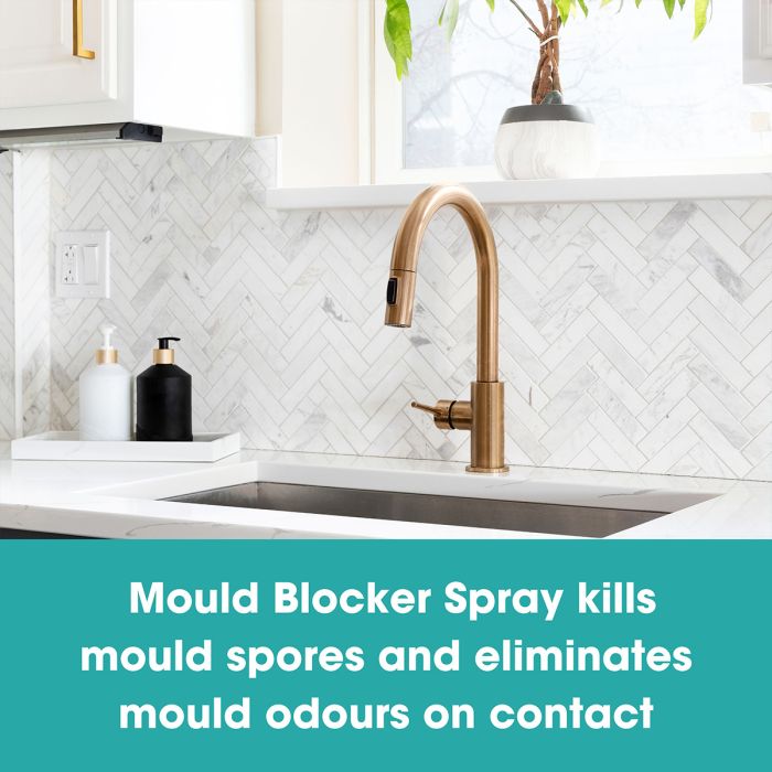 Kit de îndepărtare și prevenire a mucegaiului