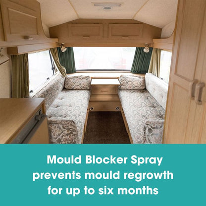 Kit de îndepărtare și prevenire a mucegaiului