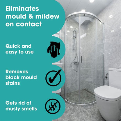 Spray pentru îndepărtarea mucegaiului și a igrasiei (Spray pentru îndepărtarea mucegaiului)